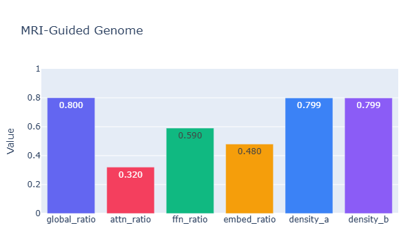 MRI-Guided Genome
