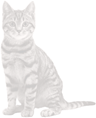 watermark2.png